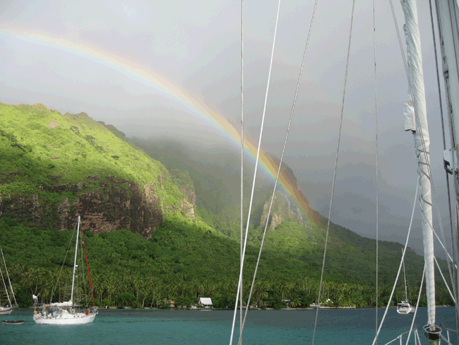 Time to observe - Rainbow over Halekai  © MIAA